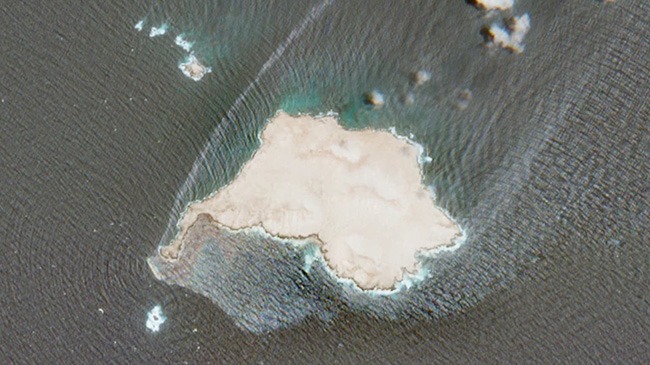 以色列科學家研發巨型海綿吞噬海上漏油